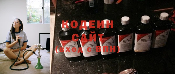 индика Абаза