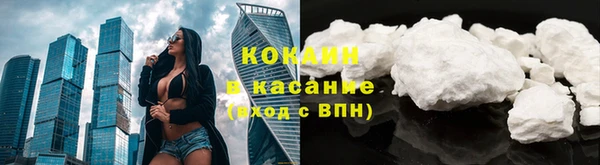 индика Абаза
