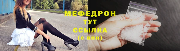 индика Абаза