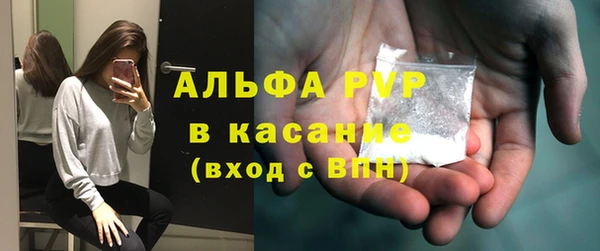 индика Абаза