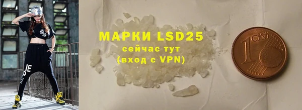 индика Абаза
