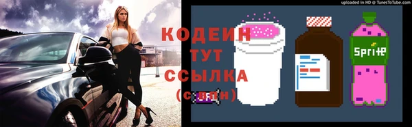 индика Абаза