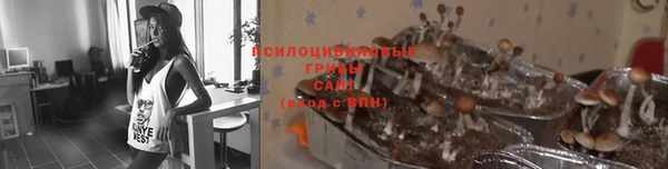 индика Чекалин
