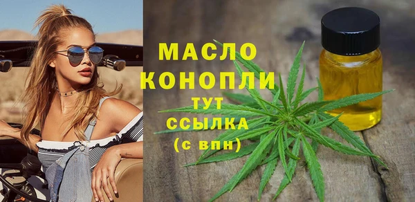 индика Абаза