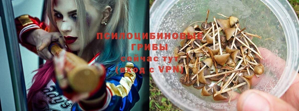 ГАЛЛЮЦИНОГЕННЫЕ ГРИБЫ Абдулино