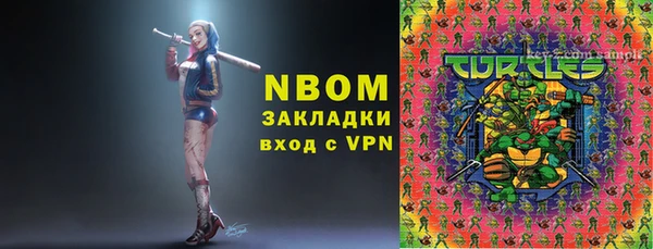 индика Абаза