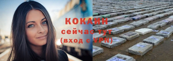 индика Абаза