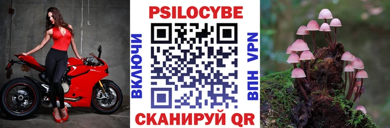 МЕГА вход  Фёдоровский  Галлюциногенные грибы MAGIC MUSHROOMS 