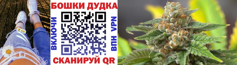 Марихуана план  Фёдоровский 